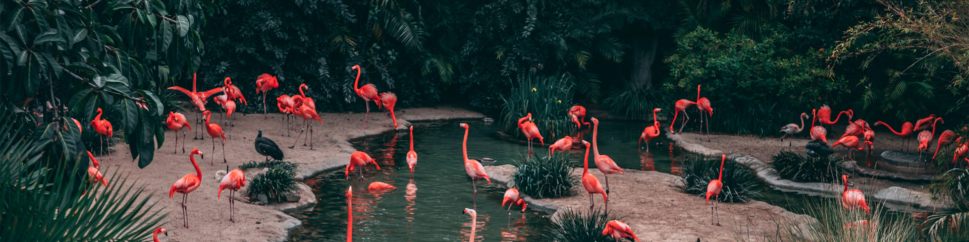 湖南结伴同行旅行社有限公司南京营业部